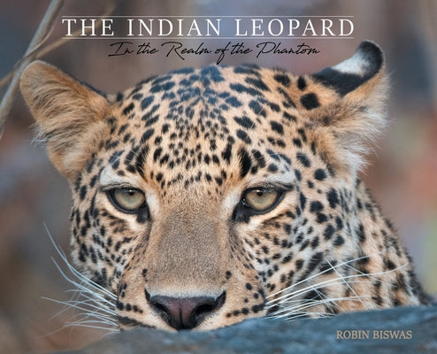 Book cover of The Indian Leopard: In the Realm of the Phantom by Biswas, Robin