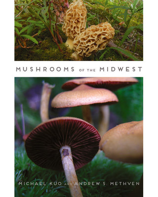 Book cover of Mushrooms of the Midwest by Kuo, Michael