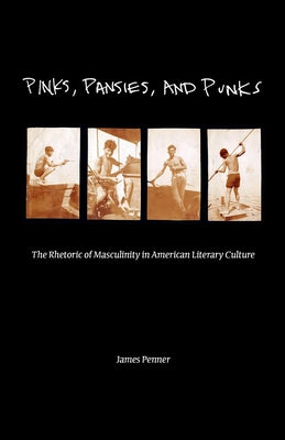 Pinks, Pansies, and Punks: The Rhetoric of Masculinity in American Literary Culture by James Penner book cover