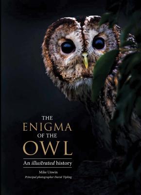 Book cover of The Enigma of the Owl: An Illustrated Natural History by Unwin, Mike