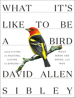 Book cover of What It's Like to Be a Bird: From Flying to Nesting, Eating to Singing--What Birds Are Doing, and Why by Sibley, David Allen