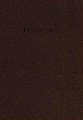 Book cover of Foundation Study Bible-NIV by Zondervan