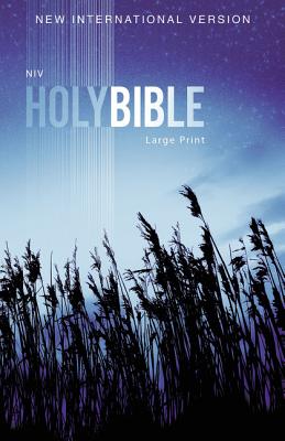 Book cover of Outreach Bible-NIV by Zondervan