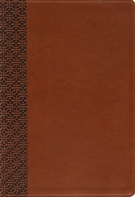 Amplified Holy Bible, Large Print, Leathersoft, Brown: Captures the Full Meaning Behind the Original Greek and Hebrew by Zondervan book cover