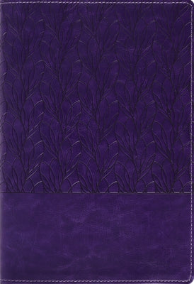 Amplified Holy Bible, Large Print, Leathersoft, Purple: Captures the Full Meaning Behind the Original Greek and Hebrew by Zondervan book cover