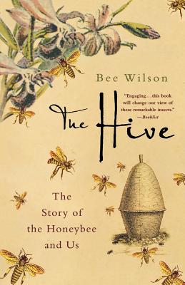 Book cover of The Hive: The Story of the Honeybee and Us by Wilson, Bee