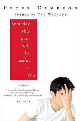 Someday This Pain Will Be Useful to You by Peter Cameron book cover