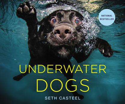 Book cover of Underwater Dogs by Casteel, Seth