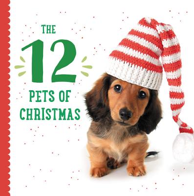 The 12 Pets of Christmas by Taylor Garland book cover