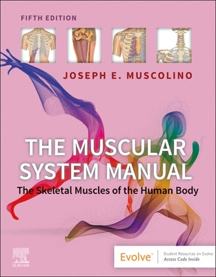 Book cover of The Muscular System Manual: The Skeletal Muscles of the Human Body by Muscolino, Joseph E.