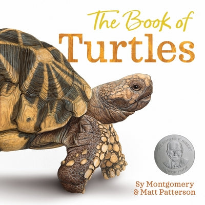 The Book of Turtles by Sy Montgomery book cover