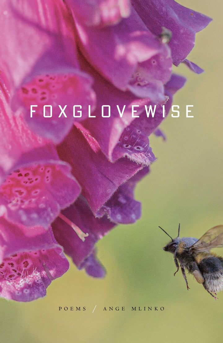 Book cover of Foxglovewise by Mlinko, Ange
