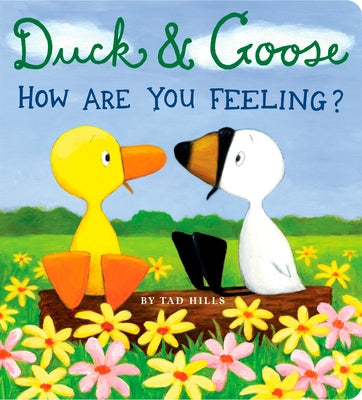 Duck & Goose, How Are You Feeling? by Tad Hills book cover