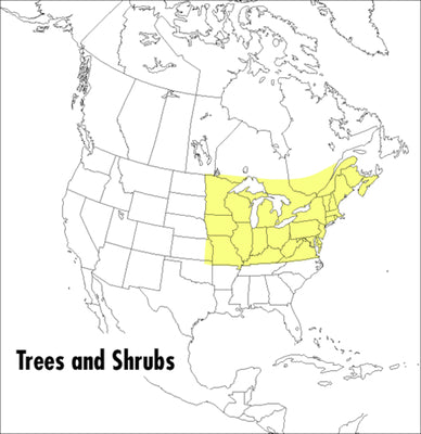 Book cover of A Field Guide to Trees and Shrubs: Northeastern and North-Central United States and Southeastern and South-Central Canada by Peterson, Roger Tory