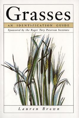 Book cover of Grasses: An Identification Guide by Brown, Lauren