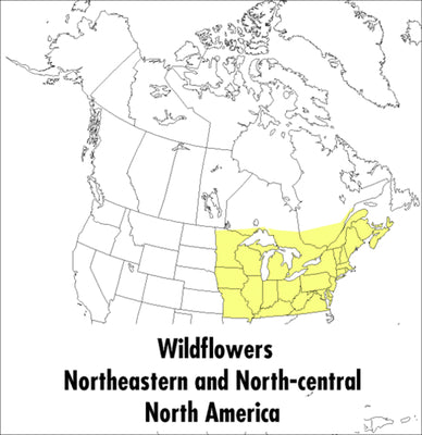 Book cover of A Peterson Field Guide to Wildflowers: Northeastern and North-Central North America by McKenny, Margaret