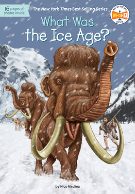 What Was the Ice Age? by Nico Medina book cover