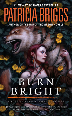 Book cover of Burn Bright by Briggs, Patricia