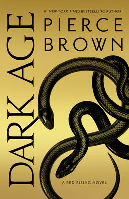 Book cover of Dark Age by Brown, Pierce