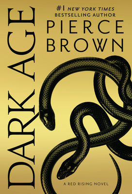 Book cover of Dark Age by Brown, Pierce