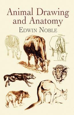 Book cover of Animal Drawing and Anatomy by Noble, Edwin