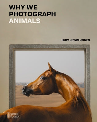 Book cover of Why We Photograph Animals by Lewis-Jones, Huw