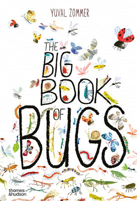 The Big Book of Bugs by Zommer, Yuval book cover