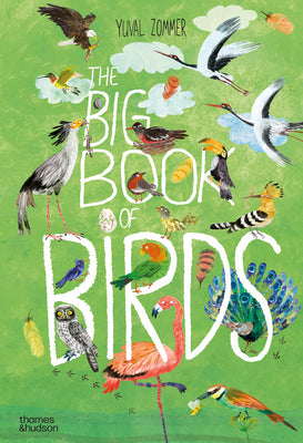 The Big Book of Birds by Zommer, Yuval book cover