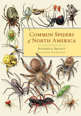 Book cover of Common Spiders of North America by Bradley, Richard A.