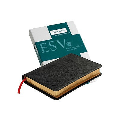 Book cover of Pitt Minion Reference Bible-ESV by Baker Publishing Group