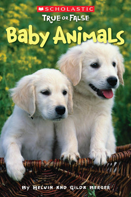 Book cover of Baby Animals (Scholastic True or False): Volume 1 by Berger, Melvin