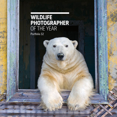 Book cover of Wildlife Photographer of the Year: Portfolio 32: Volume 32 by Kidman Cox, Rosamund
