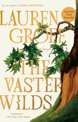 Book cover of The Vaster Wilds by Groff, Lauren