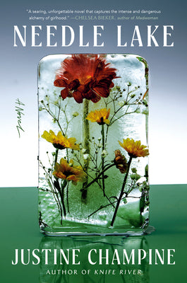 Book cover of Needle Lake by Champine, Justine