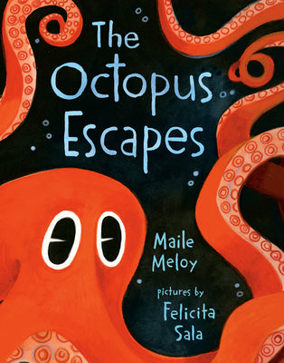 The Octopus Escapes by Maile Meloy book cover