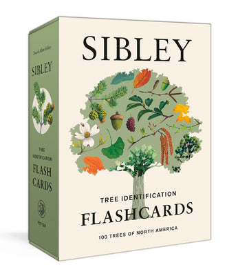 Sibley Tree Identification Flashcards: 100 Trees of North America product image