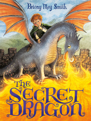 The Secret Dragon by Smith, Briony May book cover