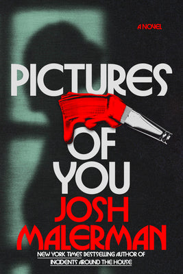 Pictures of You by Malerman, Josh book cover
