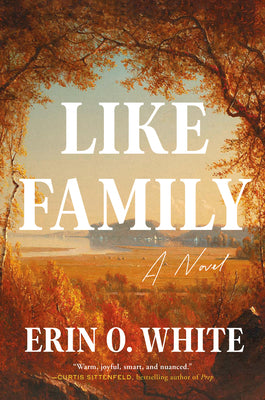 Book cover of Like Family by White, Erin O.