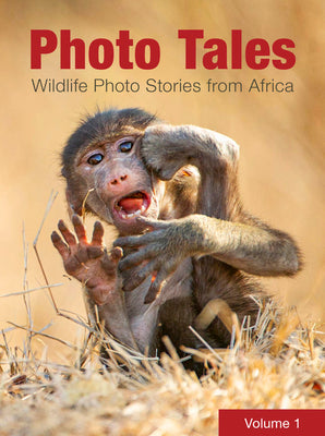 Book cover of Photo Tales Volume 1: Wildlife Photo Stories from Africa by Authors, Various