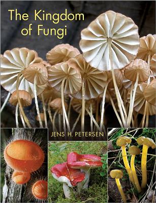 Book cover of The Kingdom of Fungi by Petersen, Jens H.