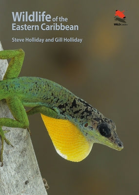Book cover of Wildlife of the Eastern Caribbean by Holliday, Steve