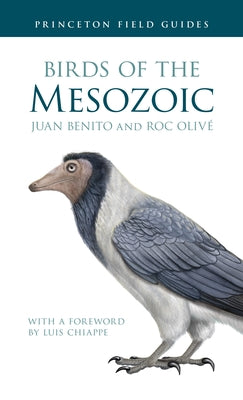 Book cover of Birds of the Mesozoic by Benito, Juan