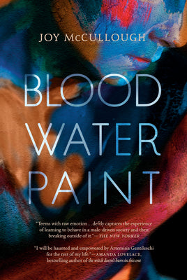 Blood Water Paint by Joy McCullough book cover