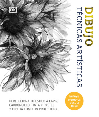 Book cover of Dibujo: T by DK