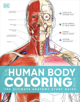 Book cover of The Human Body Coloring Book: The Ultimate Anatomy Study Guide, Second Edition by DK