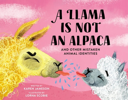 A Llama Is Not an Alpaca: And Other Mistaken Animal Identities by Jameson, Karen book cover