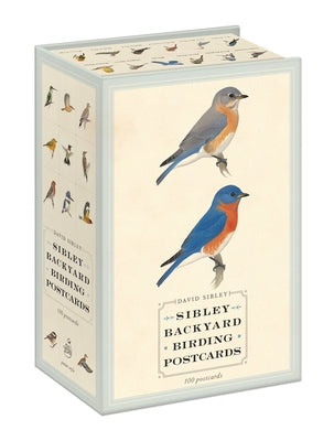 Sibley Backyard Birding Postcards: 100 Postcards product image