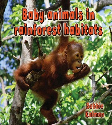 Book cover of Baby Animals in Rainforest Habitats by Kalman, Bobbie