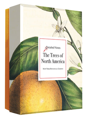 The Trees of North America: A Detailed Notes Notecard Box product image